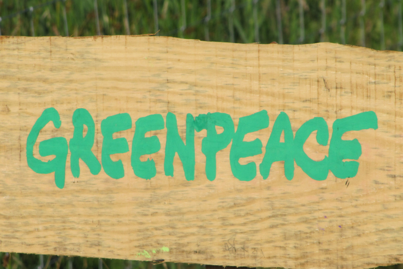    greenpeace    