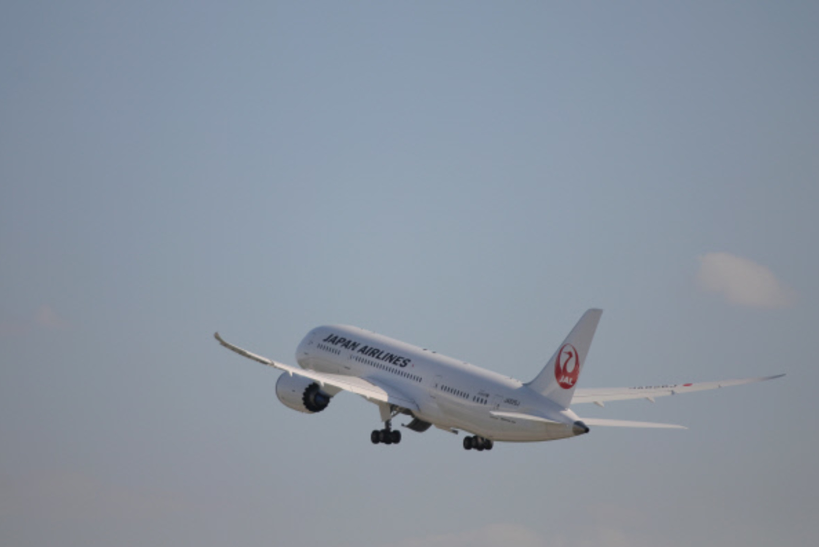  japan airlines      