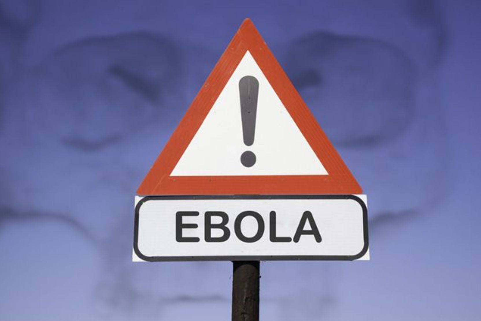 В Роспотребнадзоре исключили возможность завоза в Россию вируса Эболы
