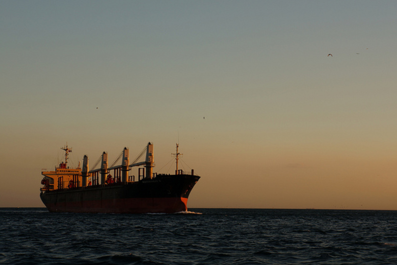 СМИ: У побережья Сомали захватили грузовое судно под флагом Либерии