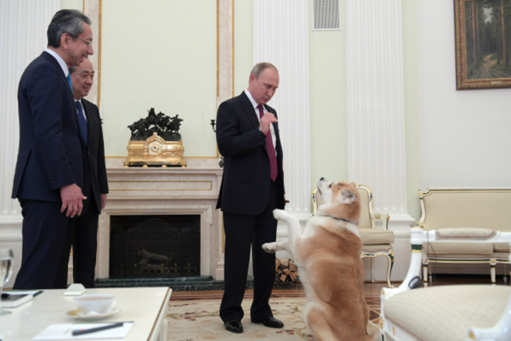 Путин подарил школьнице из Пскова щенка
