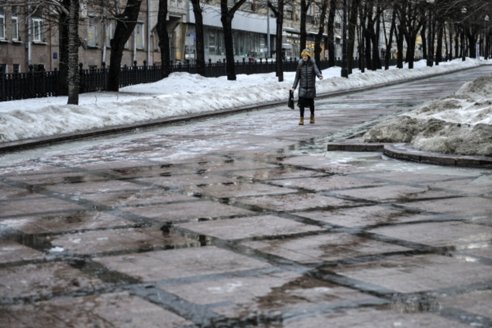 Синоптики пообещали аномальное тепло в Москве до марта