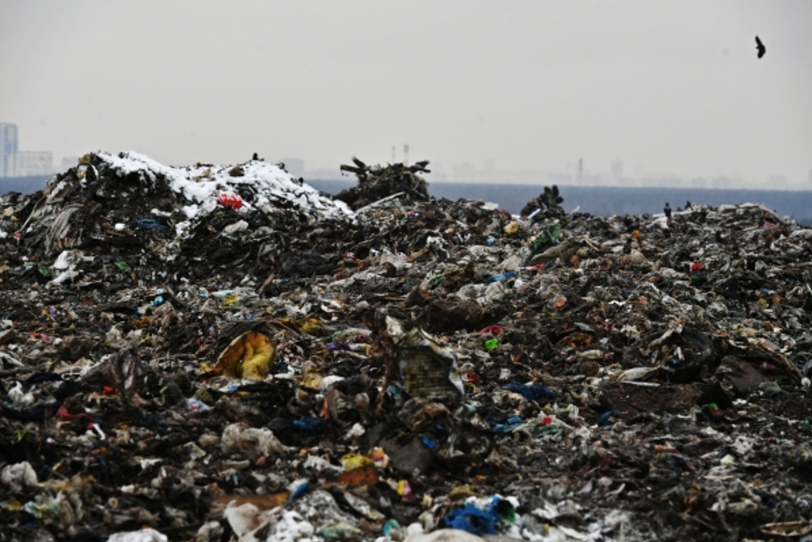 Подмосковье может стать лидером по переработке отходов