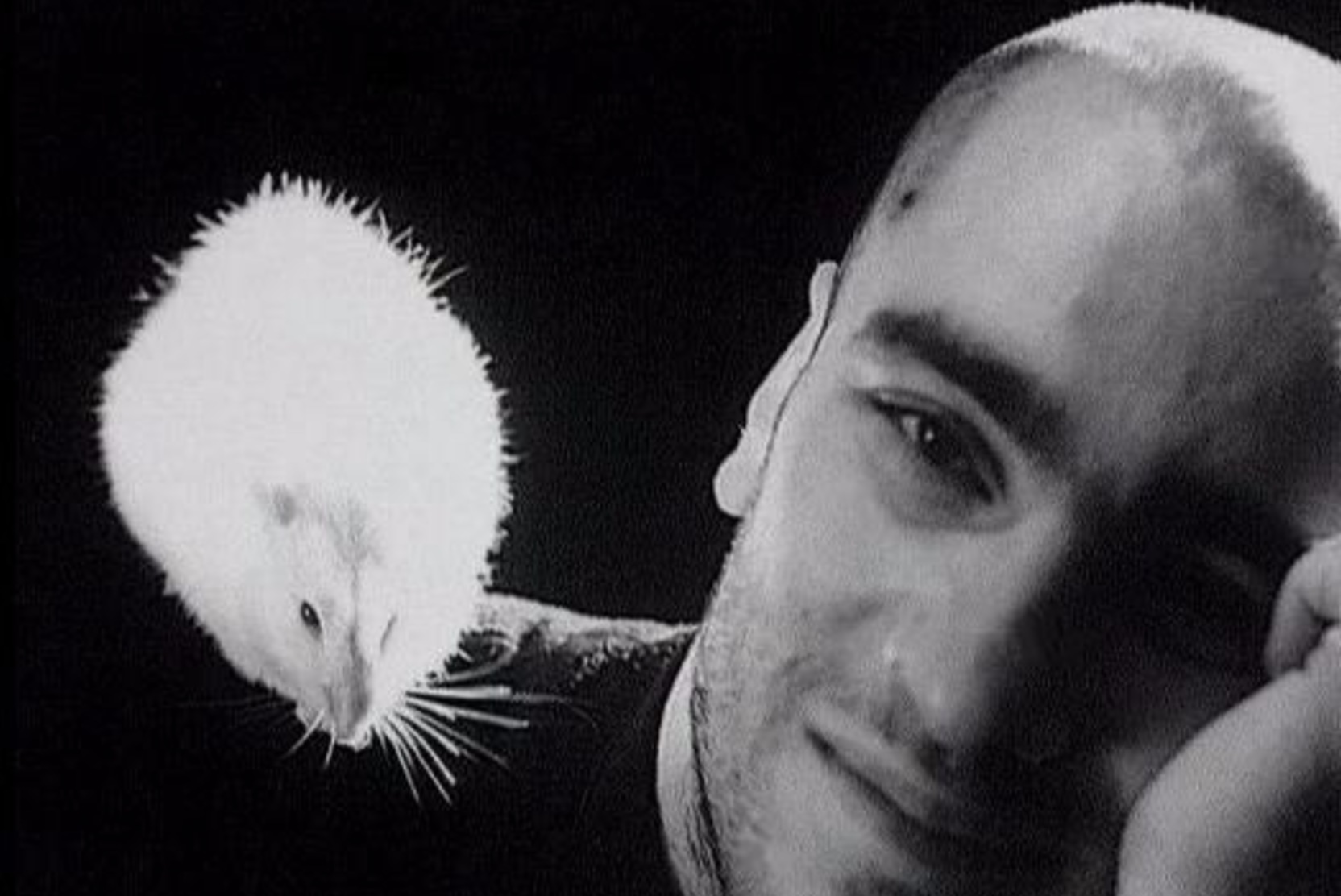 Aella черный обелиск. аве цезарь черный обелиск. черный обелиск дом желтого сна. анатолий крупнов фото. дом жёлтого сна чёрный обелиск.