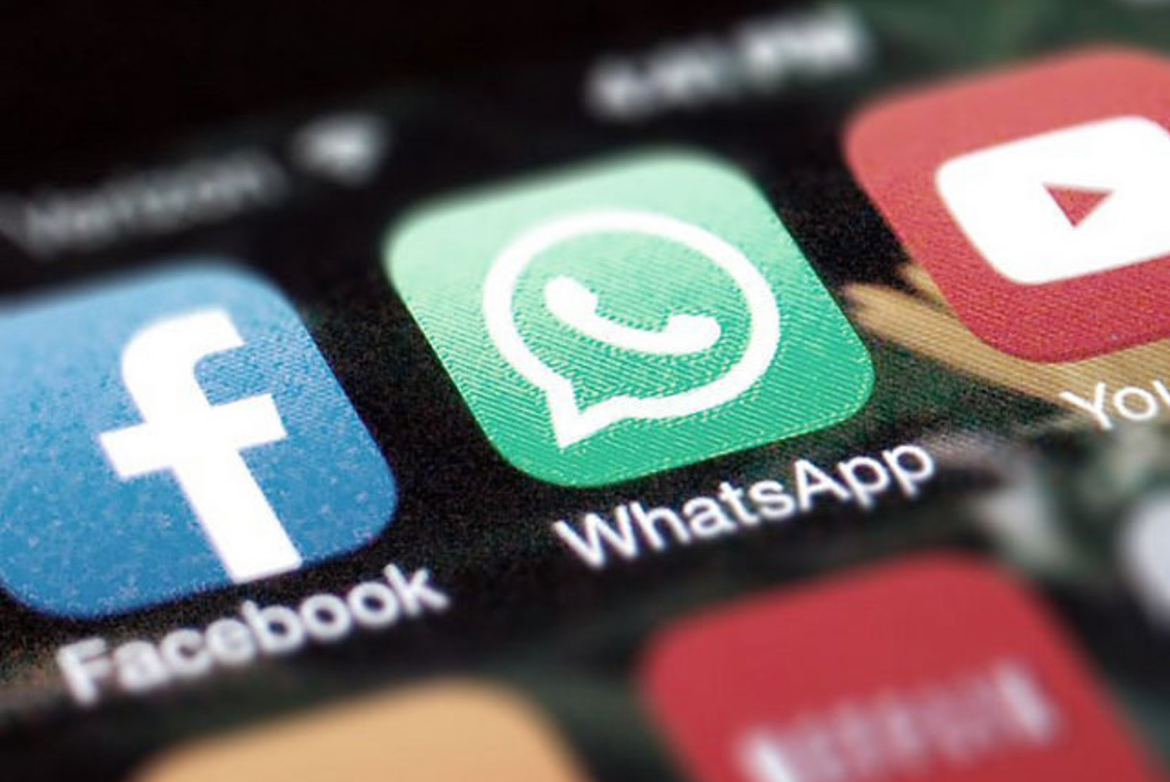    В WhatsApp появятся новые возможности для творчества 