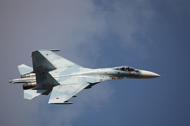Минобороны РФ: Су-27 ВС РФ не допустил нарушение границы немецким самолетом