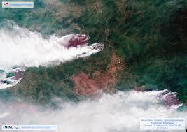 Число жертв лесных пожаров в Чили увеличилось до 122