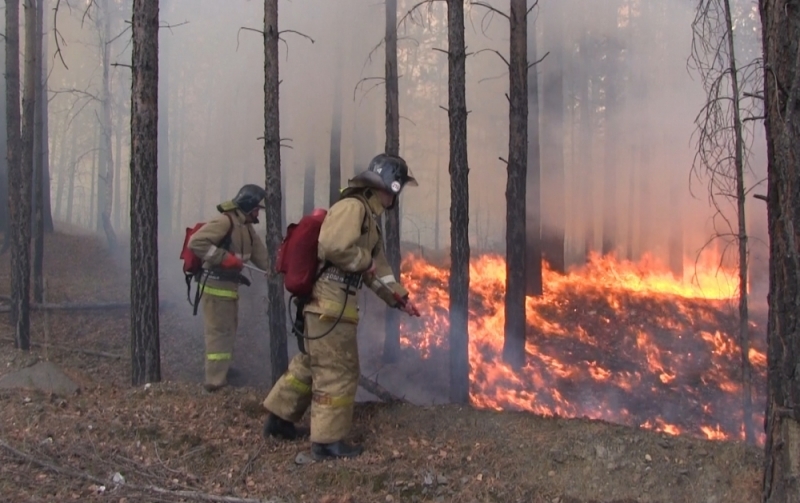 МЧС запустит мобильное приложение для отслеживания природных пожаров