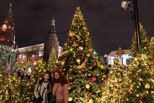 Главную новогоднюю елку срубят в Наро-Фоминском районе Подмосковья 