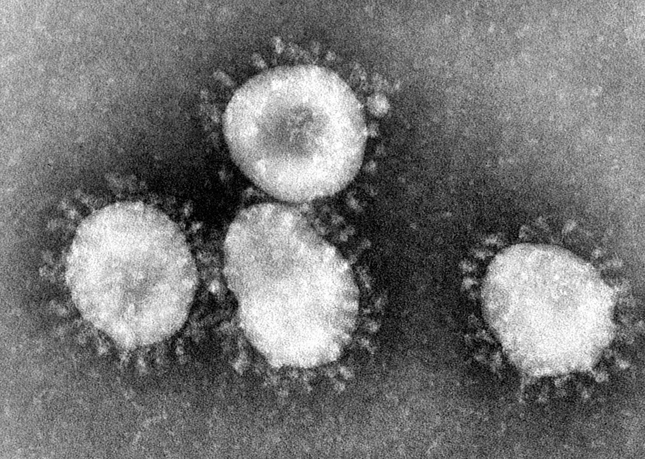 Смертоносная группа штаммов коронавируса FLiRT распространяется по США