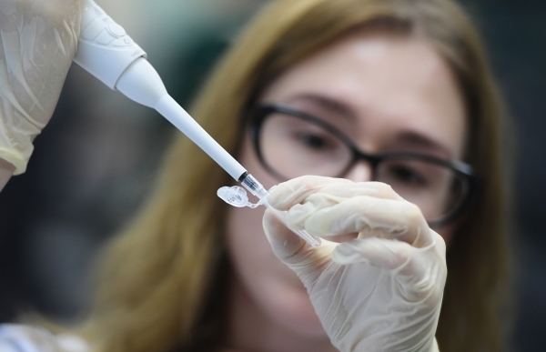 Новый опасный для людей коронавирус нашли у летучих мышей из России