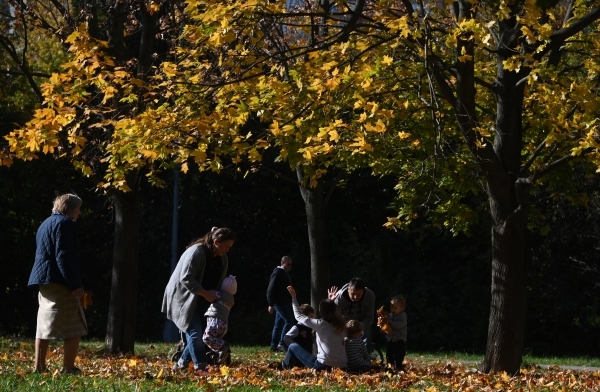 Осенние каникулы в школах Ленобласти продлили из-за коронавируса