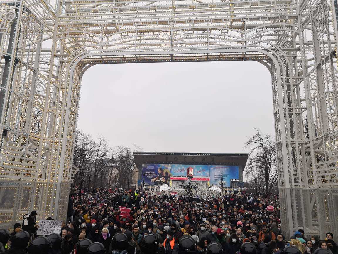 Мизулина заявила о подготовке в РФ протестных акций к 4 ноября