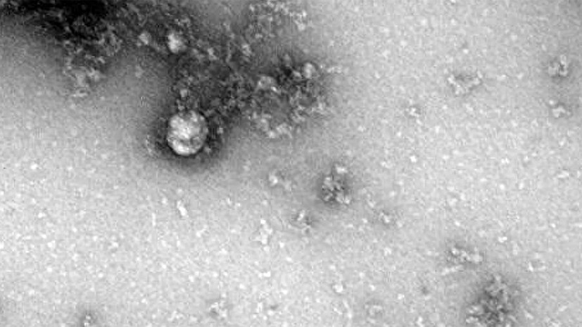 Роспотребнадзор: дети стали чаще болеть коронавирусом