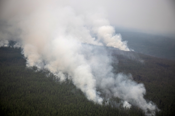 МЧС: Почти в каждом регионе РФ возникли природные пожары
