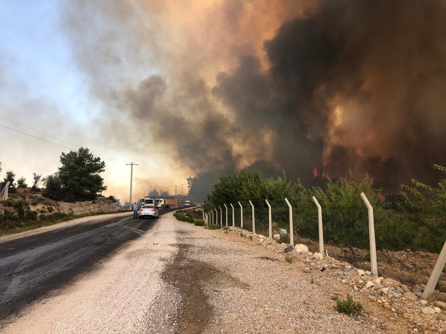 В результате лесного пожара в Анталье пострадали 53 человека