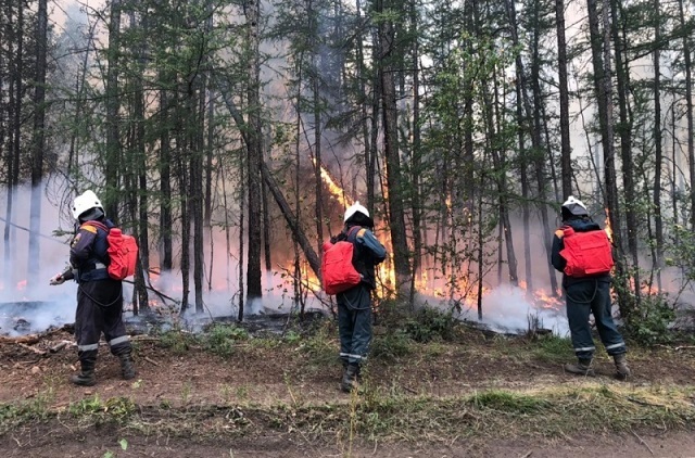 В 15 регионах РФ прогнозируют ухудшение пожарной обстановки