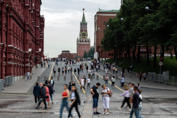 Московские полицейские задержали похитителя клапанов вентиляции Кремля