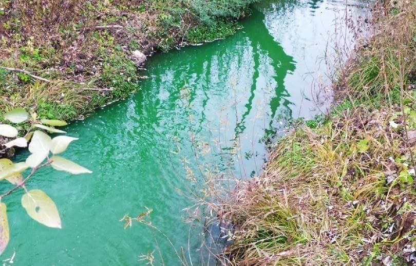 Прокуратура в Перми выясняет причину изменения цвета в четырех реках