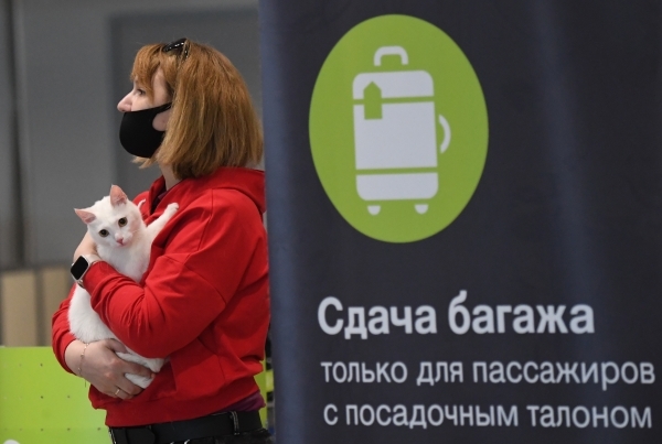 Почти 140 рейсов задержаны или отменены в аэропортах Москвы