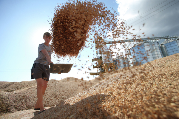 СМИ: Россия попросила отменить санкции против Россельхозбанка для поставок зерна
