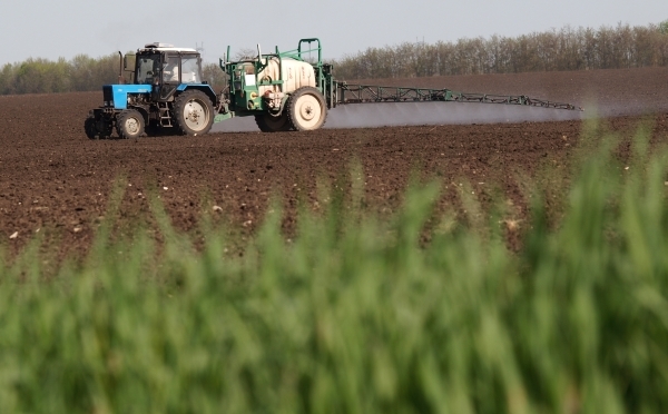 Калужская область направила 1,27 миллиарда на развитие сельского хозяйства