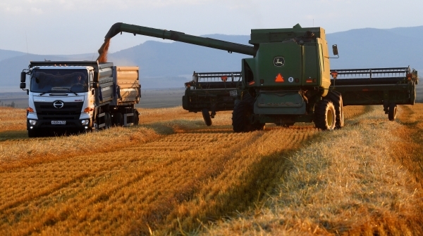 Россия экспортировала уже 40 миллионов тонн зерна