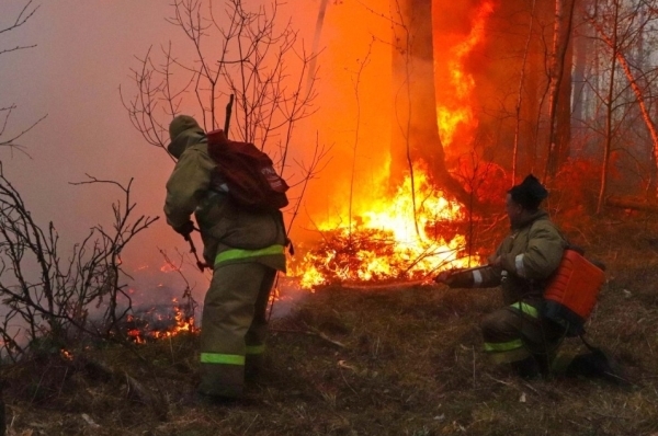 Пожары в Рязанской области будут тушить семь тяжелых самолетов и 10 вертолетов