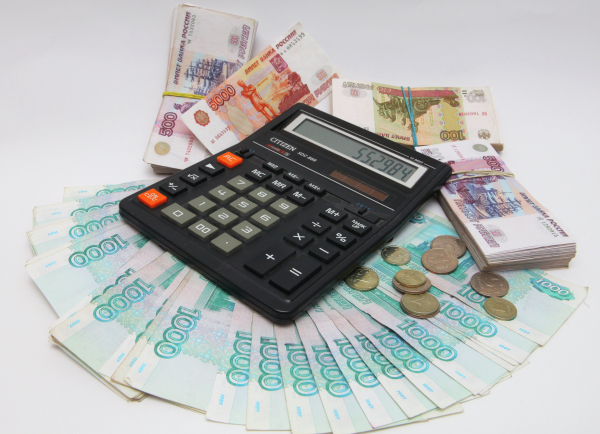 Федеральный бюджет собрал с бизнеса 20 млрд рублей безвозмездных поступлений