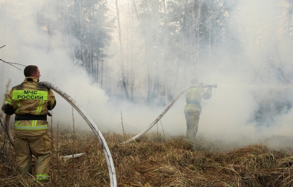 Лесной пожар в Ростовской области приблизился к двум населенным пунктам