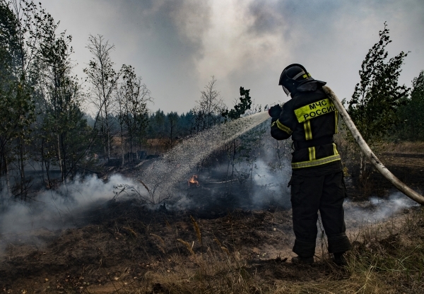 Пожар из Рязанской области движется в сторону Шатурского района Подмосковья