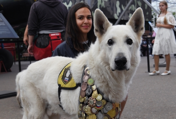 Сын актера Харатьяна снимет фильм о собаке-герое блокадного Ленинграда
