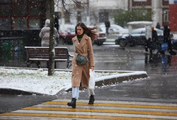 Чистые улицы и безопасные дороги ждут москвичей грядущей зимой