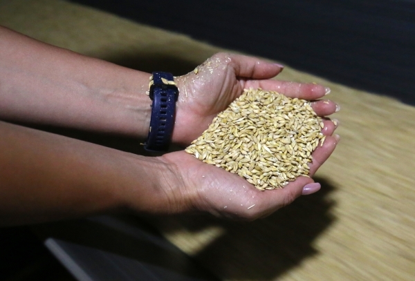 В МИД РФ не исключили прекращения действия зерновой сделки