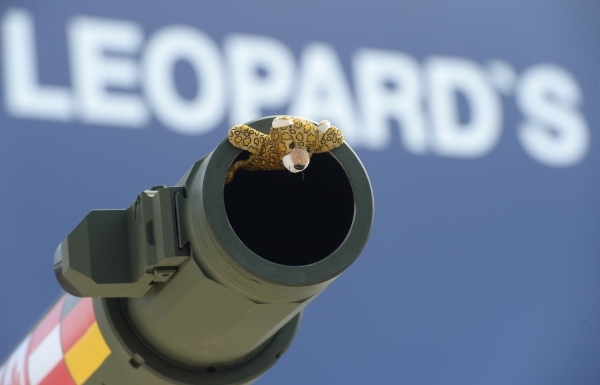 СМИ: В Киеве заявили, что 12 стран согласились передать Украине танки Leopard