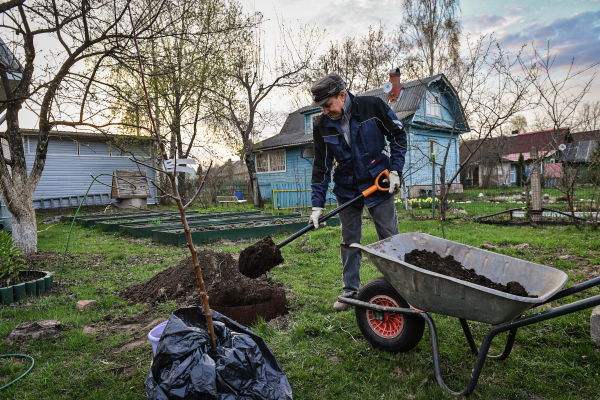 СМИ: Садоводов обяжут использовать земельные участки в течение трех лет
