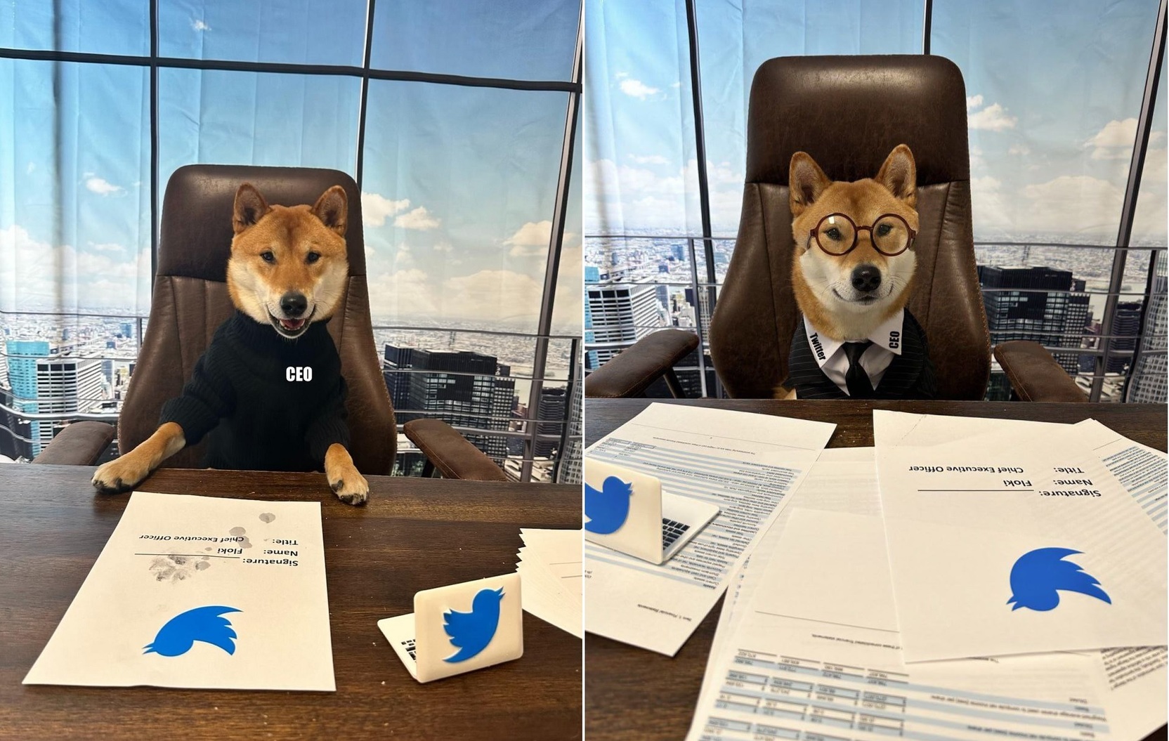 Илон Маск назначил собаку новым гендиректором Twitter