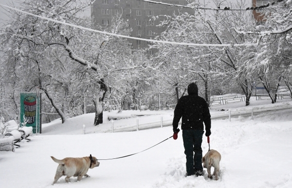 Вильфанд предупредил москвичей о сильном снегопаде