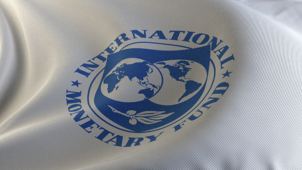 Можин: Уход России из МВФ мог бы лишить фонд глобального статуса