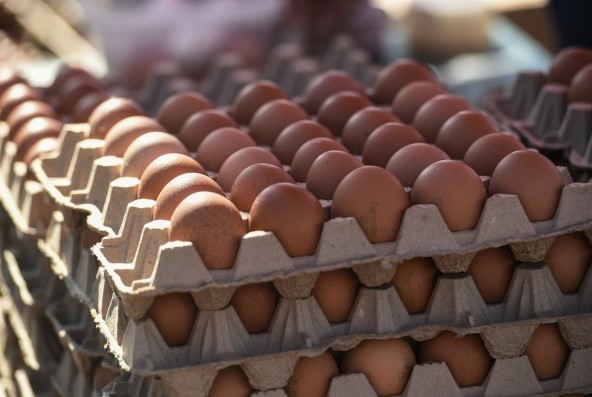 СМИ: В Омске обнаружили свалку из сотен куриных яиц