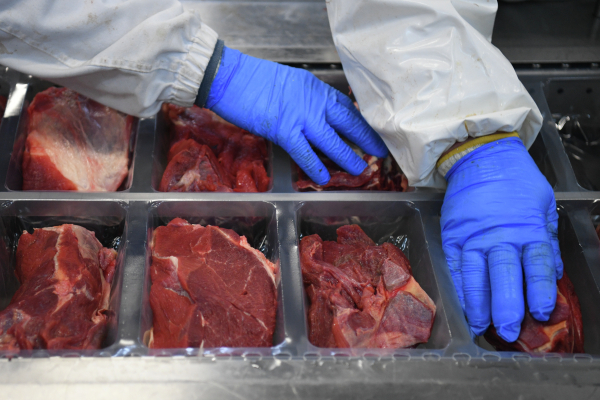 Белоруссия, Бразилия и Парагвай стали основными поставщиками мяса в Россию