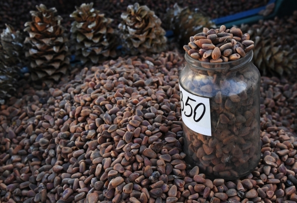 Виктора Цоя отправили под домашний арест за аферу с орехами