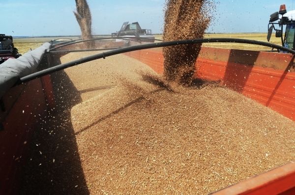 Поставки пшеницы из России в КНР выросли в 9,3 раза