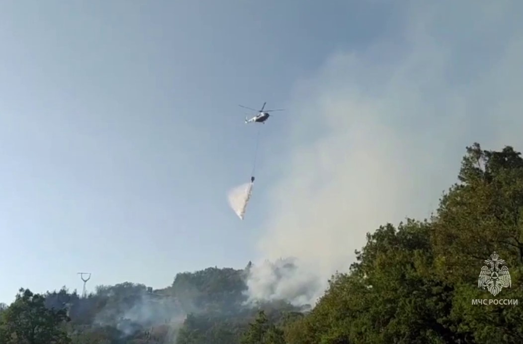 В Башкирии начались лесные пожары из-за жары