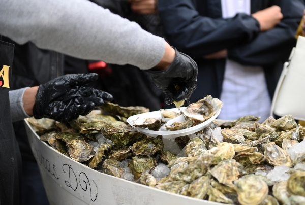 Россиянам подсказали, как не заразиться вирусами от устриц