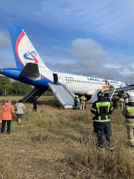 СМИ: Посадивший самолет в пшеничном поле пилот уволился из «Уральских авиалиний»