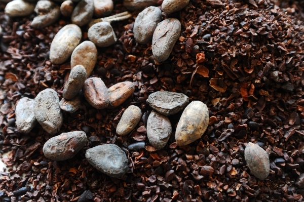 Стоимость какао-бобов достигла максимума с 1977 года