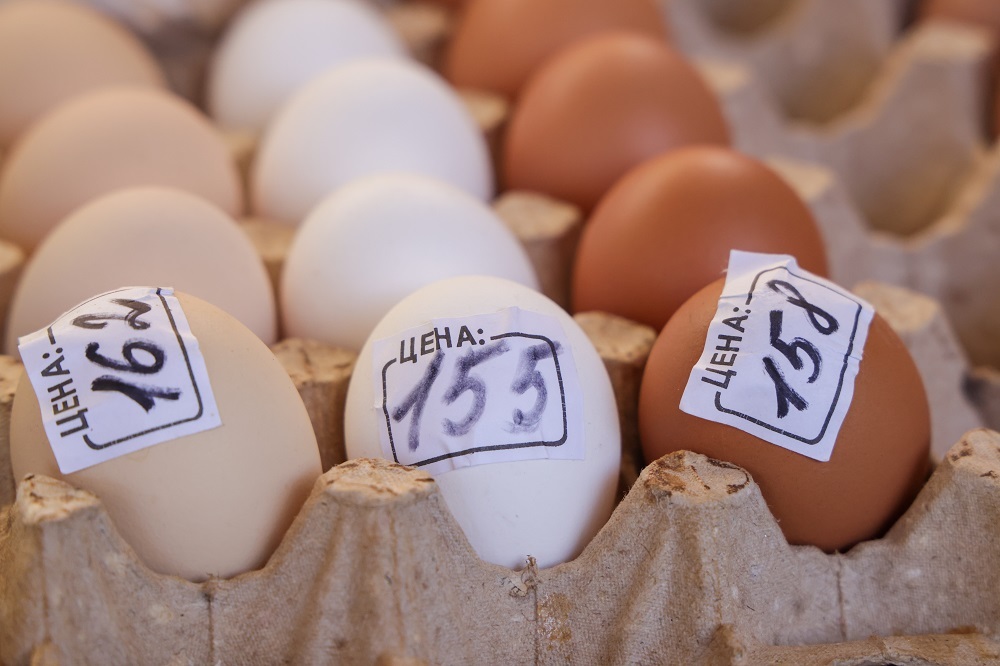 Куриные яйца в России вновь подорожали