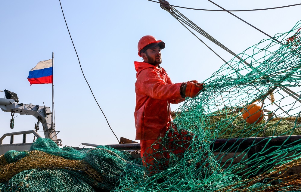 Рыбный союз: Поставки семги в Россию за пять лет упали почти вдвое