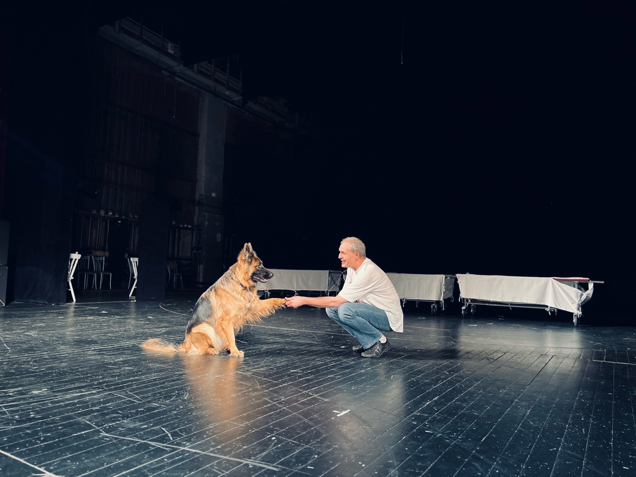 В постановке Курганского театра драмы сыграет собака